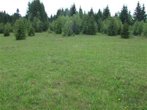 TML_6230_053, 2014_06_04, č. 01